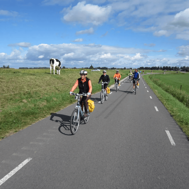 Webdesign Swifterbant, Project Direct, Timo van Tilburg, Snel een Webdesigner Swifterbant, Website laten maken Swifterbant, Website laten bouwen Swifterbant, SEO Swifterbant, SEA Swifterbant, Online Marketing Swifterbant, Wordpress Swifterbant, Zoekmachine optimalisatie Swifterbant