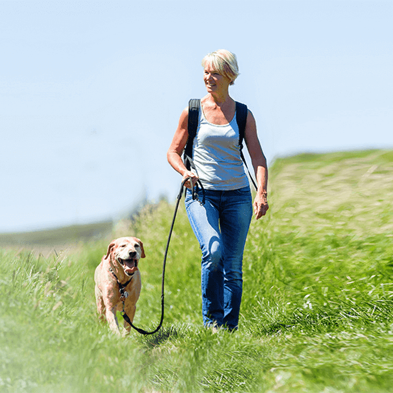 Webdesign Swifterbant, Project Direct, Timo van Tilburg, Snel een Webdesigner Swifterbant, Website laten maken Swifterbant, Website laten bouwen Swifterbant, SEO Swifterbant, SEA Swifterbant, Online Marketing Swifterbant, Wordpress Swifterbant, Zoekmachine optimalisatie Swifterbant